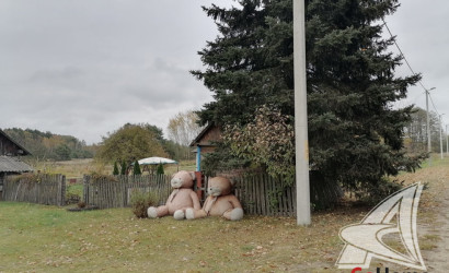 Купить дом в деревне, Дубица, Домачевский с/с, 25 соток. Фото 7