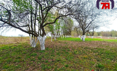 Купить участок, Гиревичи, 25 соток. Фото 15