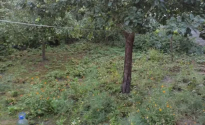  Купить дом