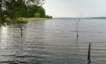 Купить дачу, Витебск, 9.42 соток. Фото 11