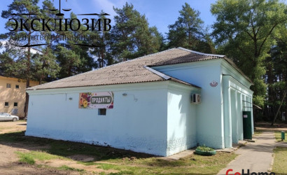 Купить 2-комнатную квартиру, Зеленый Бор, Железнодорожная ул., 1. Фото 26
