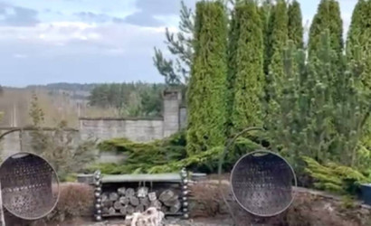 Снять коттедж, Новое Поле, Парковая, 2А. Фото 20