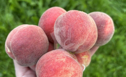 Купить дом в деревне, Зеленые холмы-2, 4.5 соток. Фото 20