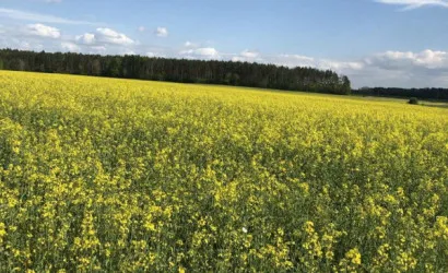  1-этаж.(69.5 м2), Мотоль(Дзержинского)