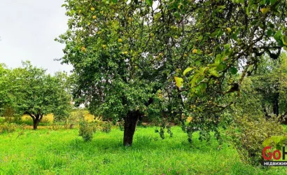  1-этаж.(85 м2), Новоселки(Центральная, 69)