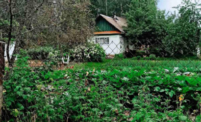 Купить участок, ВЕРАС-91, Центральная, 1, 10 соток. Фото 1