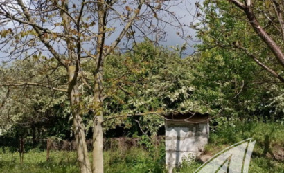 Купить дом, Деменичи, Хмелевский с/с, 25 соток. Фото 26