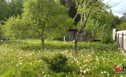  1-этаж.(24 м2), Утро