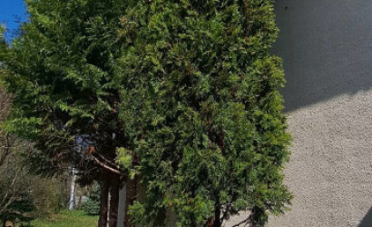 Купить дом, Витебск, Набережная, 15 соток. Фото 16