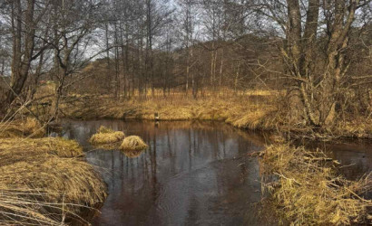 Купить дом, Вяча, Центральная ул., 31, 20 соток. Фото 33