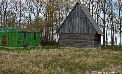  Забичаны
