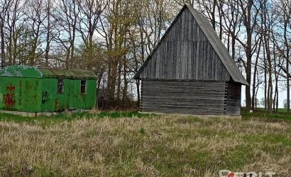 Забичаны