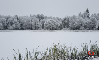 Купить участок, БОРЩЕВНИК, 10 соток. Фото 8