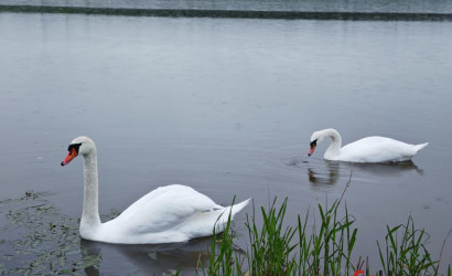 Купить 1-комнатную квартиру, Дзержинск, ул. Радужная 17. Фото 11