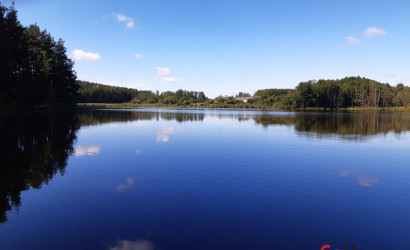 Купить дачу, Каролино, 29, СТ Калинка, 5.1 соток. Фото 2