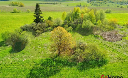 Купить участок, Гиревичи, 25 соток. Фото 4