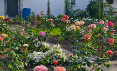 Купить дом в деревне, АЭРОФЛОТ, 6.04 соток. Фото 29