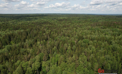 Купить участок, БОРЩЕВНИК, 10 соток. Фото 5