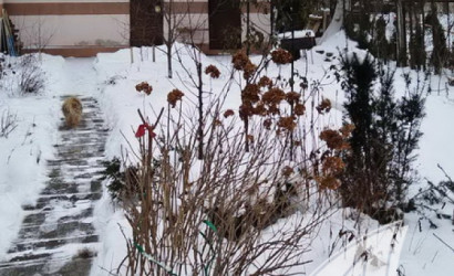 Купить дом, Брест, Киевка, 4.69 соток. Фото 40