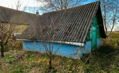 Купить дом, Косыничи, Центральная ул., 25 соток. Фото 12