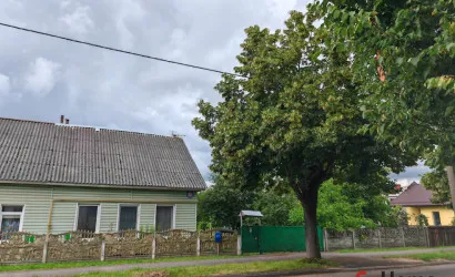  1-этаж.(154 м2), Барановичи(Димитрова)