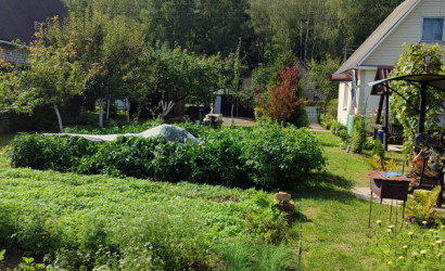 Купить дачу, Берестеново, СТ Родник2, 6 соток. Фото 14