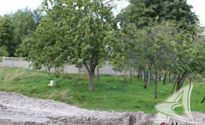 Купить дом, Бульково, Тельминский с/с, 12.03 соток. Фото 34