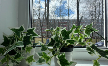 Купить 2-комнатную квартиру, Полоцк, Мариненко ул., 9. Фото 6