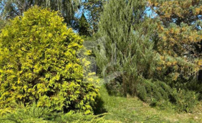 Купить дом, Ржище, 10 соток. Фото 21