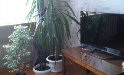 Купить 2-комнатную квартиру, Елизово, Ленина, 62. Фото 2