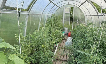 Купить дом в деревне, Гаевка, Виноградная, 98, 10 соток. Фото 35