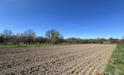 Купить участок, Адамовичи, 57 соток. Фото 6