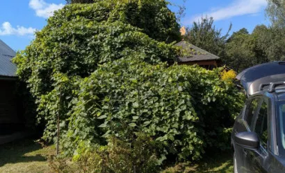  1-этаж.(62 м2), Новый Двор(Речная ул.)