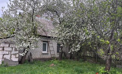 Купить дом, Корытное, Советская 33, 25 соток. Фото 20