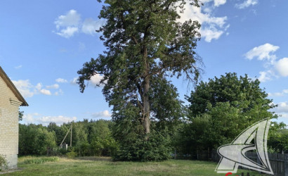 Купить дом, Малые Радваничи, Радваничский с/с, 18.18 соток. Фото 12