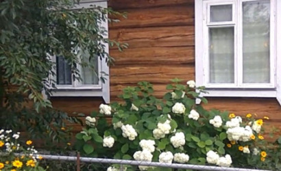 Купить дачу, Руденск-2, СТ ВЕРАС81, 5 соток. Фото 2