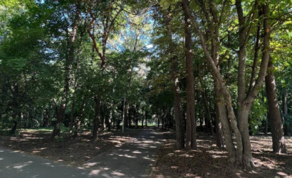 Купить 1-комнатную квартиру, Минск, Партизанский просп., 89/а (Заводской район). Фото 24