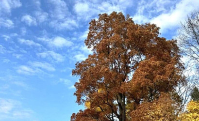 Купить дом в деревне, Струсто, 7.14 соток. Фото 8