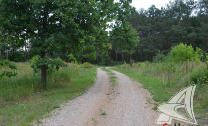 Купить дом, Костычи, Клейниковский с/с, 25 соток. Фото 37