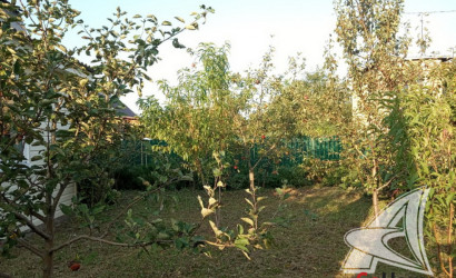 Купить дачу, Брест, Тельминский с/с, 3.91 соток. Фото 6