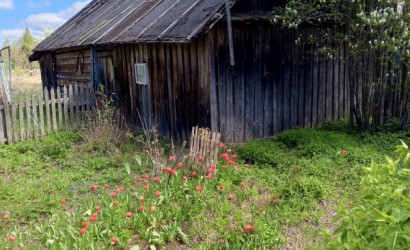 Купить дом в деревне, Гродзянка, В. Хатько, 28, 16 соток. Фото 13