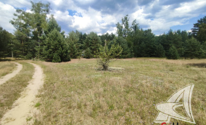 Купить дом, Дубрава, Знаменский с/с, 21 соток. Фото 25