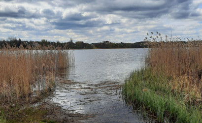 Купить дом, Вороничи, Центральная ул., 9 соток. Фото 1