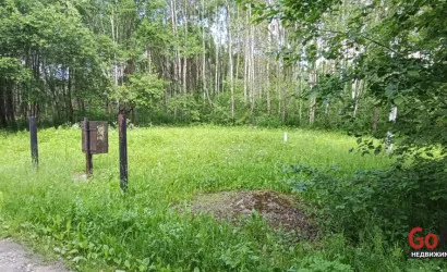  Олехновичи(15)