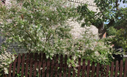 Купить дом в деревне, Сосны-Сад, 4.1 соток. Фото 3