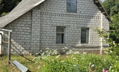  1-этаж.(31.4 м2), Ольгово(Техническая ул., 4)