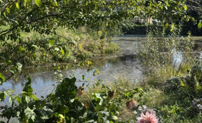 Купить участок, Заря-81, 5.04 соток. Фото 3