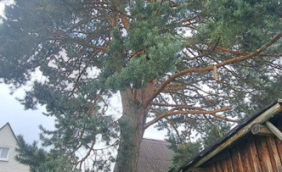 Купить дачу, Витебск, 1-я Гладкая, 7.56 соток. Фото 4