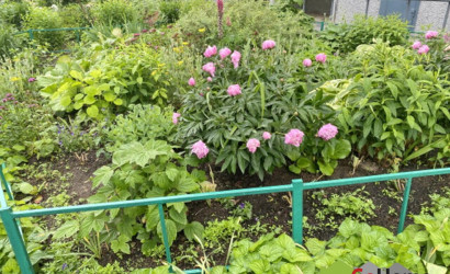 Купить 1-комнатную квартиру, Минск, Червякова ул., 2/2 (Центральный район). Фото 13