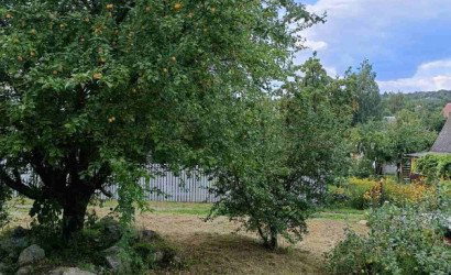 Купить участок, СТ Лазурное, 10.6 соток. Фото 6